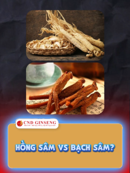@CND GINSENG Bà Rịa