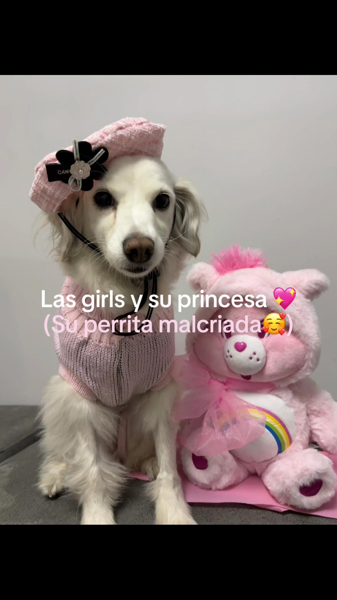 @𝒻𝓁ℴ𝓇ℯ𝓃𝒸𝒾𝒶 𝒾𝓈𝒾𝒹ℴ𝓇𝒶