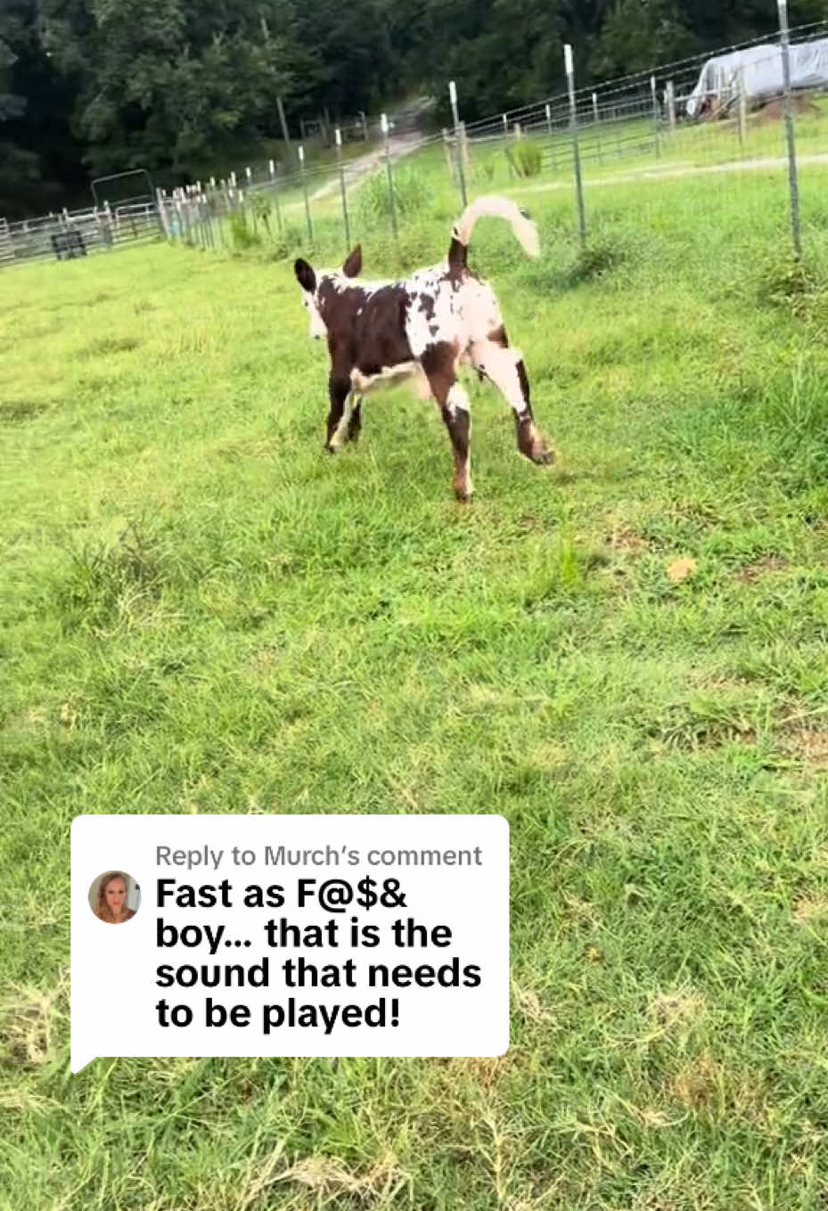 @Georgia Farm Girl