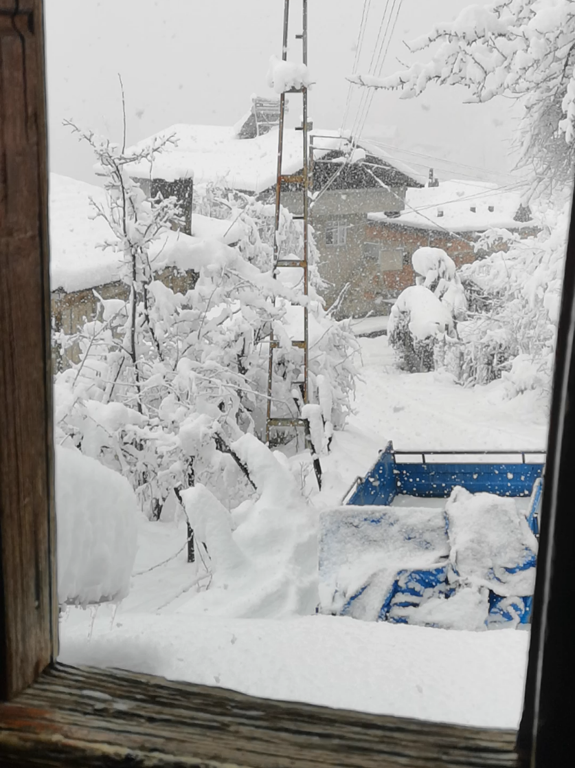 @Zoğa
