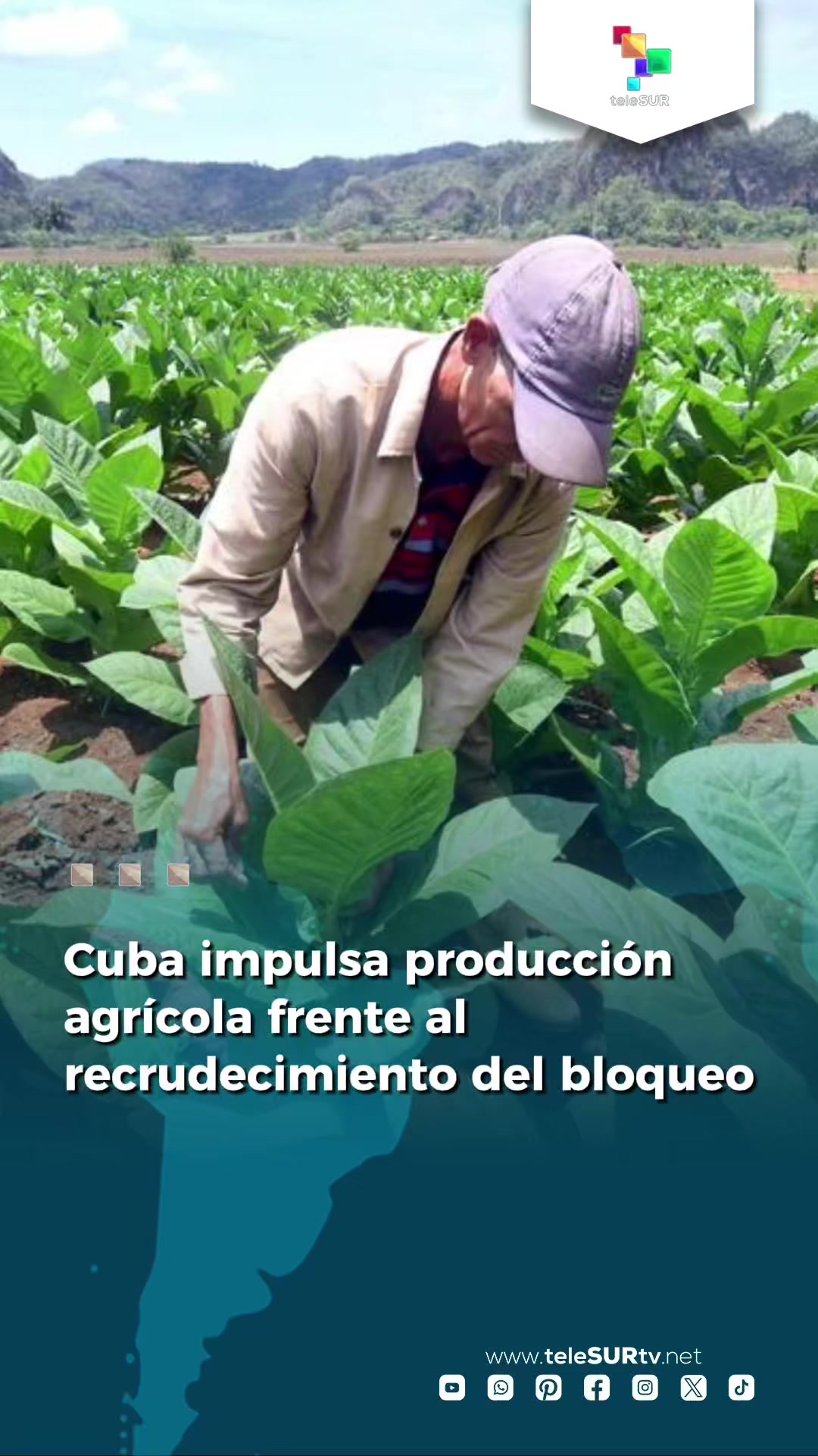 @teleSUR Clips