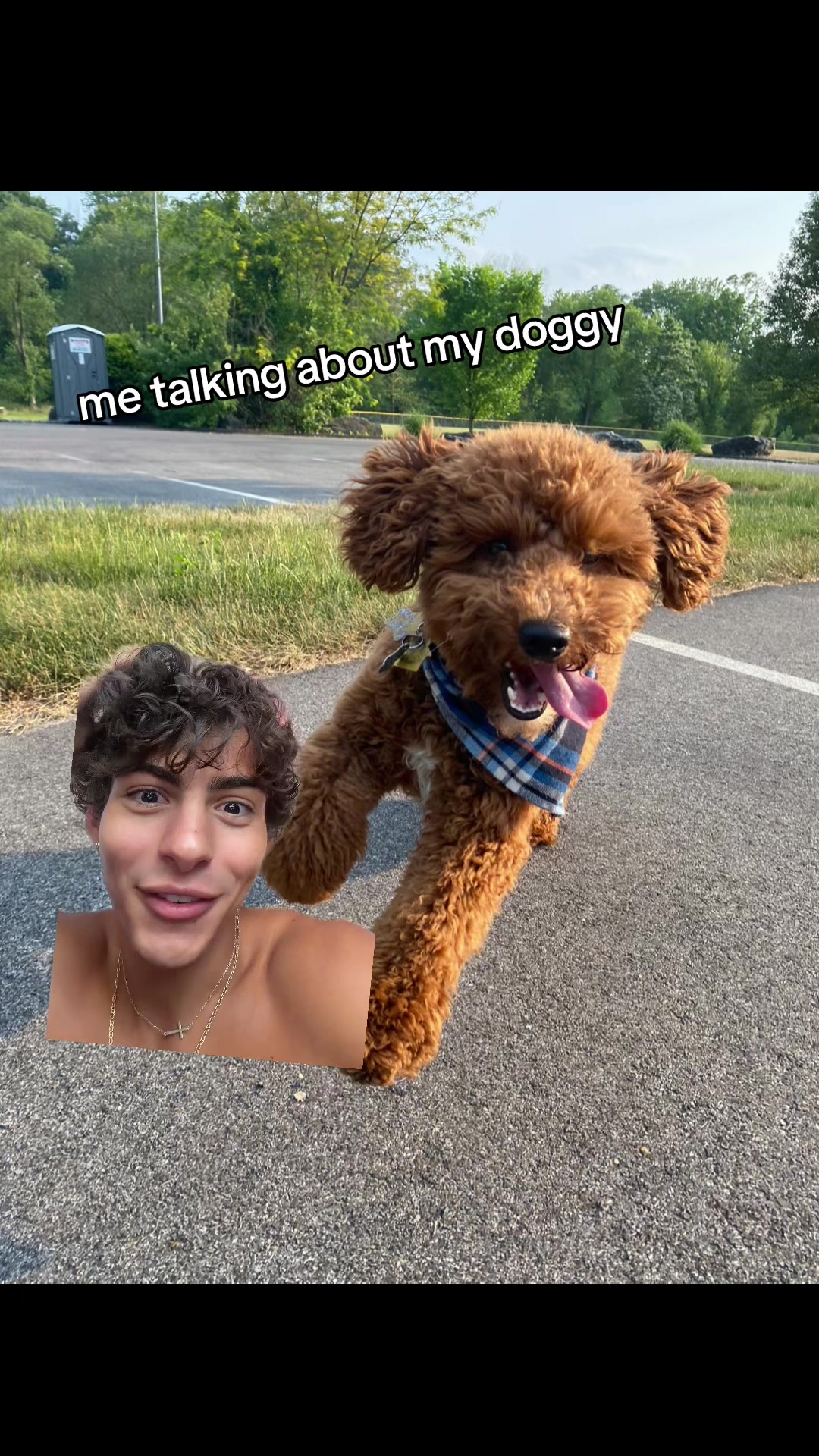 @gabriel.matosss