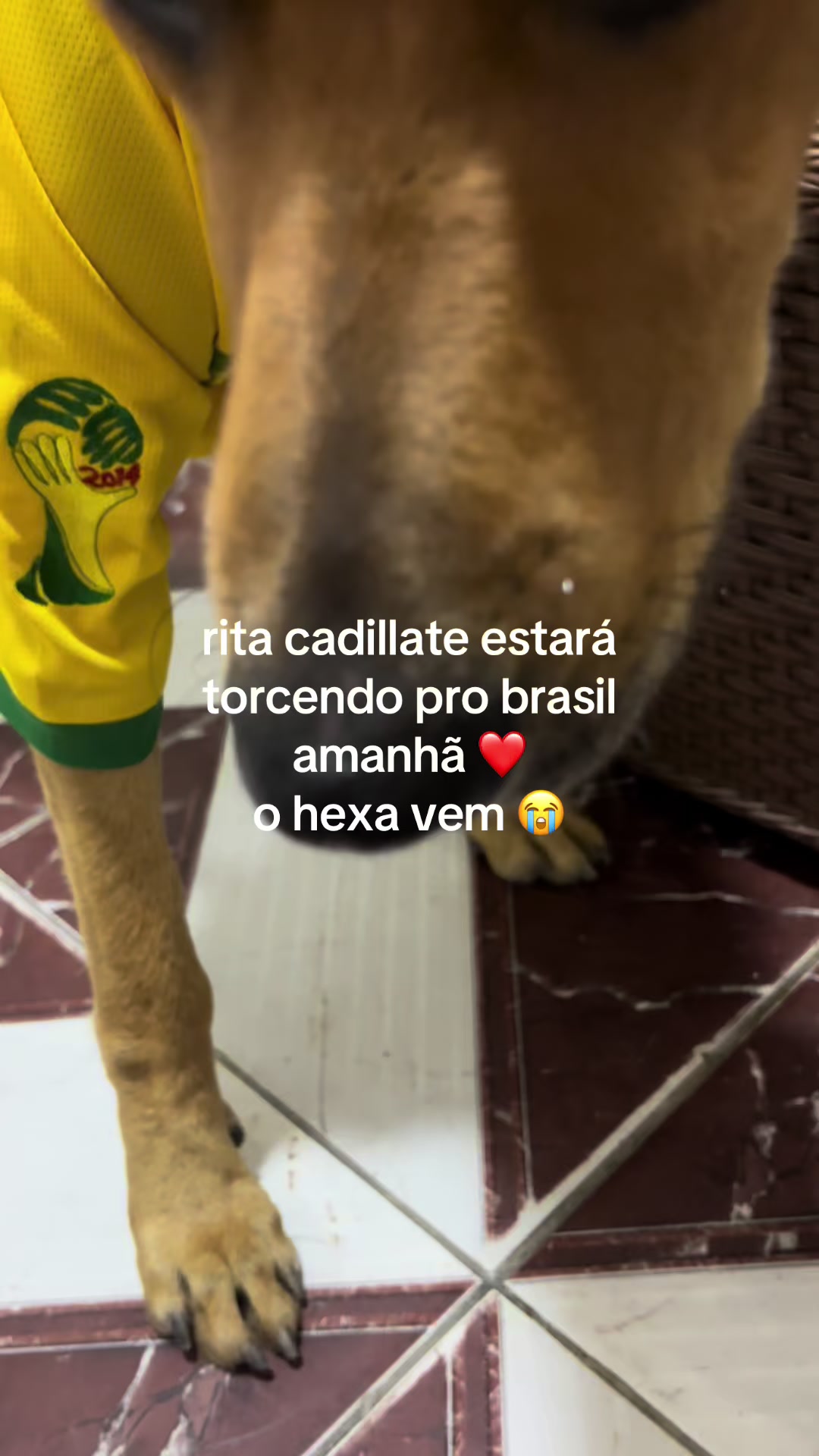 @rita cadillate