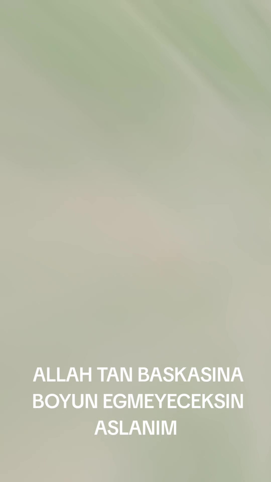 @ORAN _BEY