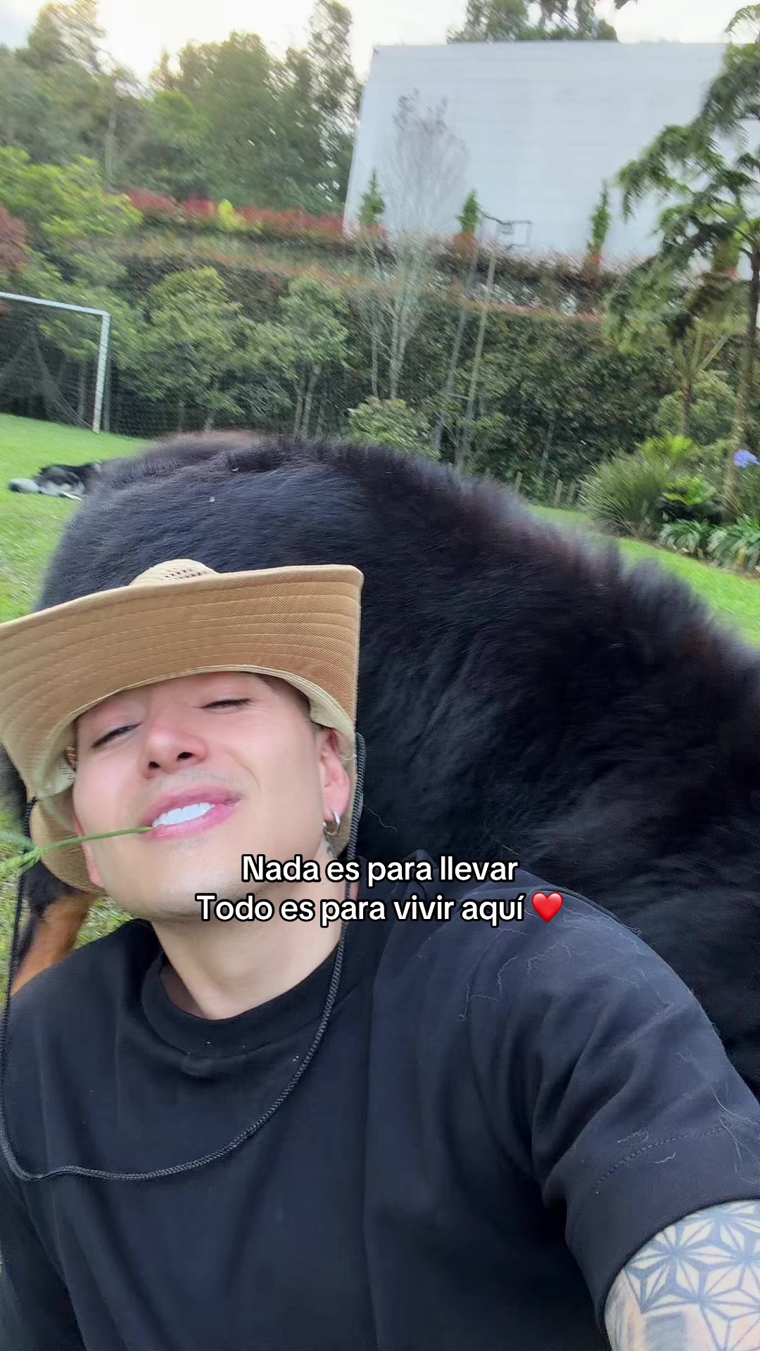 @andyrivera_