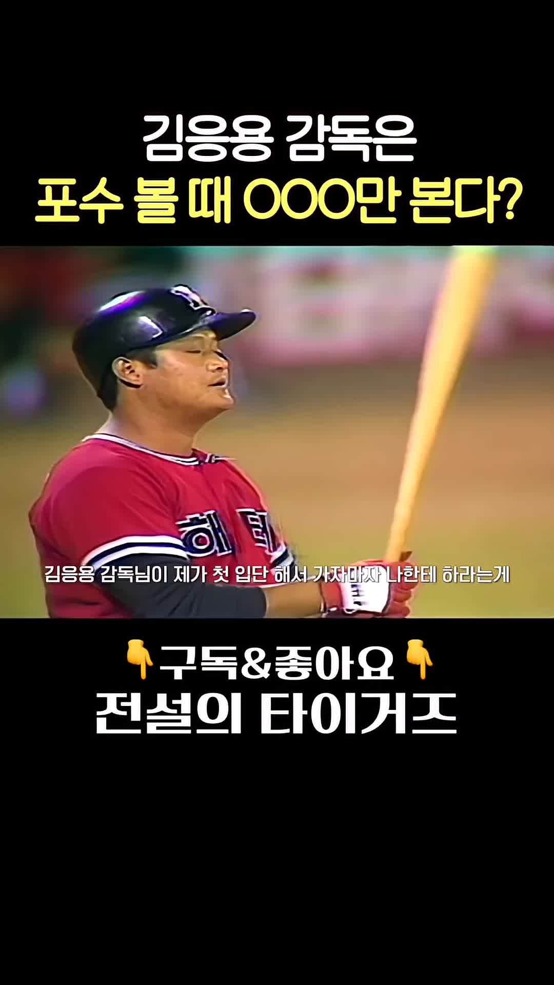 @전설의 타이거즈