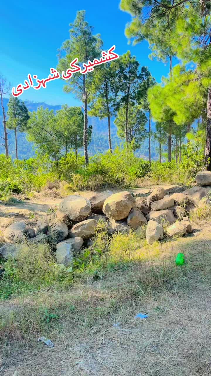 @☘️ABRAHEEM JAN💔