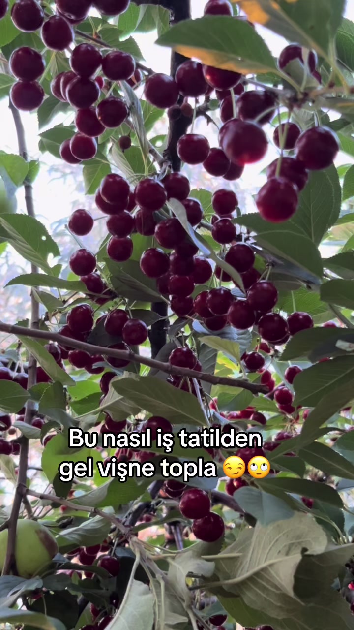 @🦋♾️ Zeyzey Zeynep 06 71 ♾️🦋