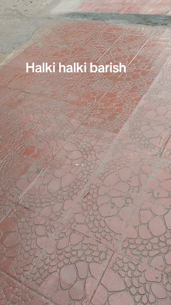 @Sadia Mazhar