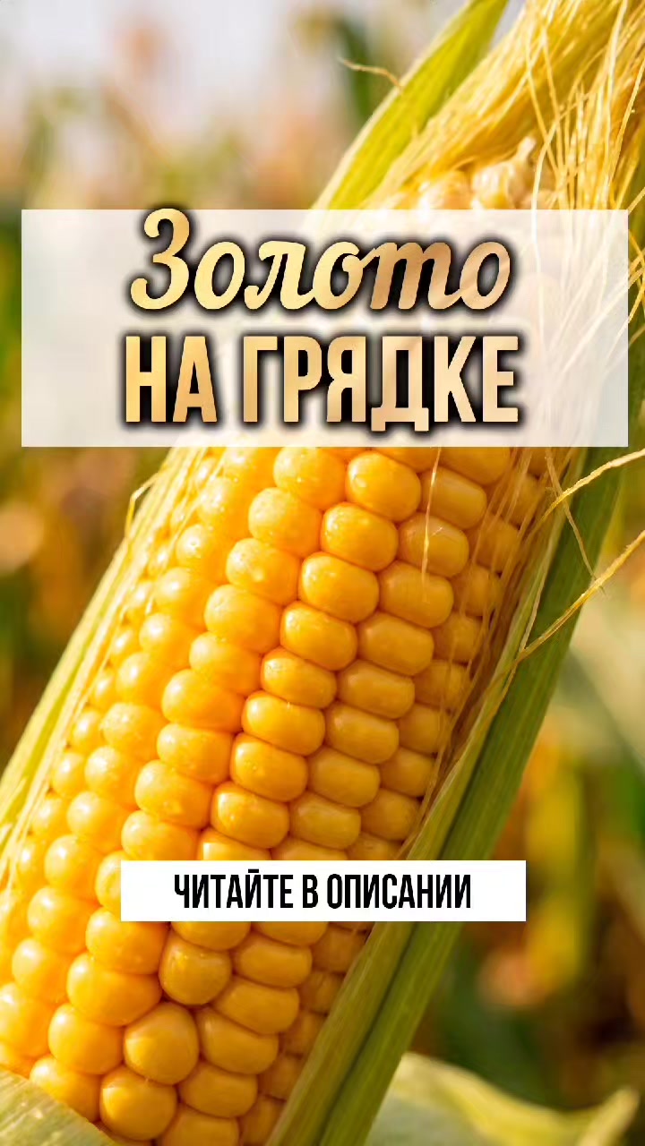 @ЗОЖнавигатор