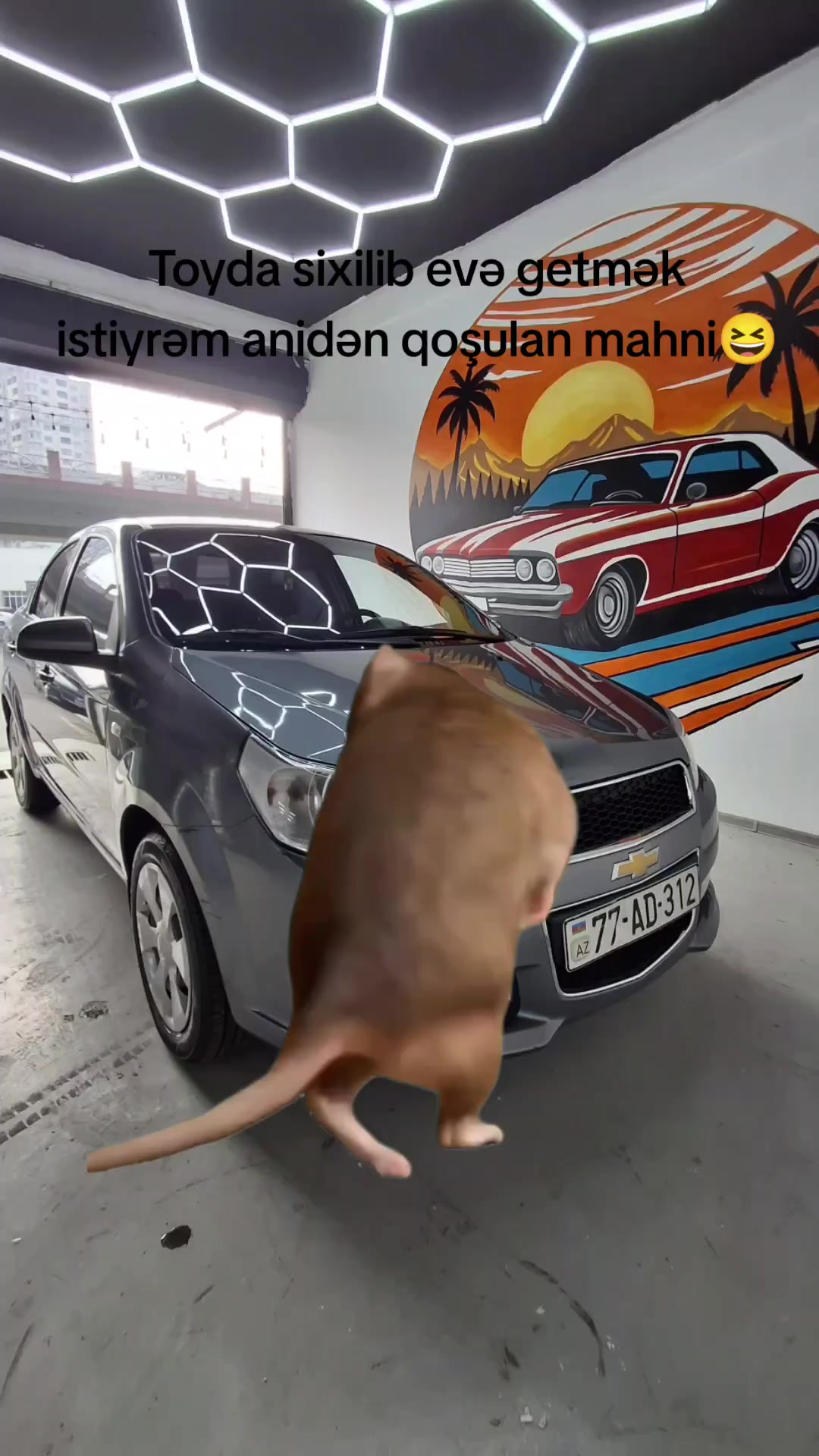 @Ələsgər Ələkbərov