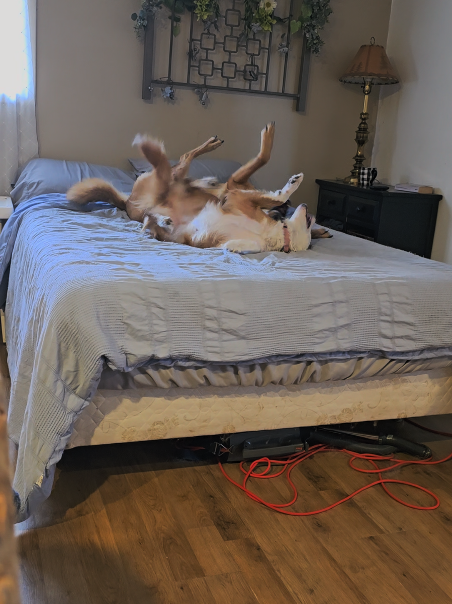 @NaeNae