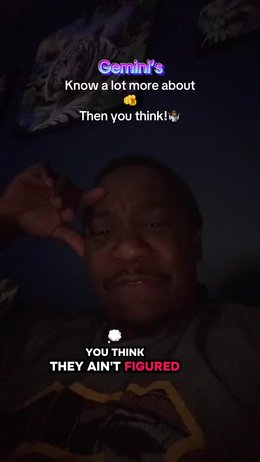 @hubbavision♊️