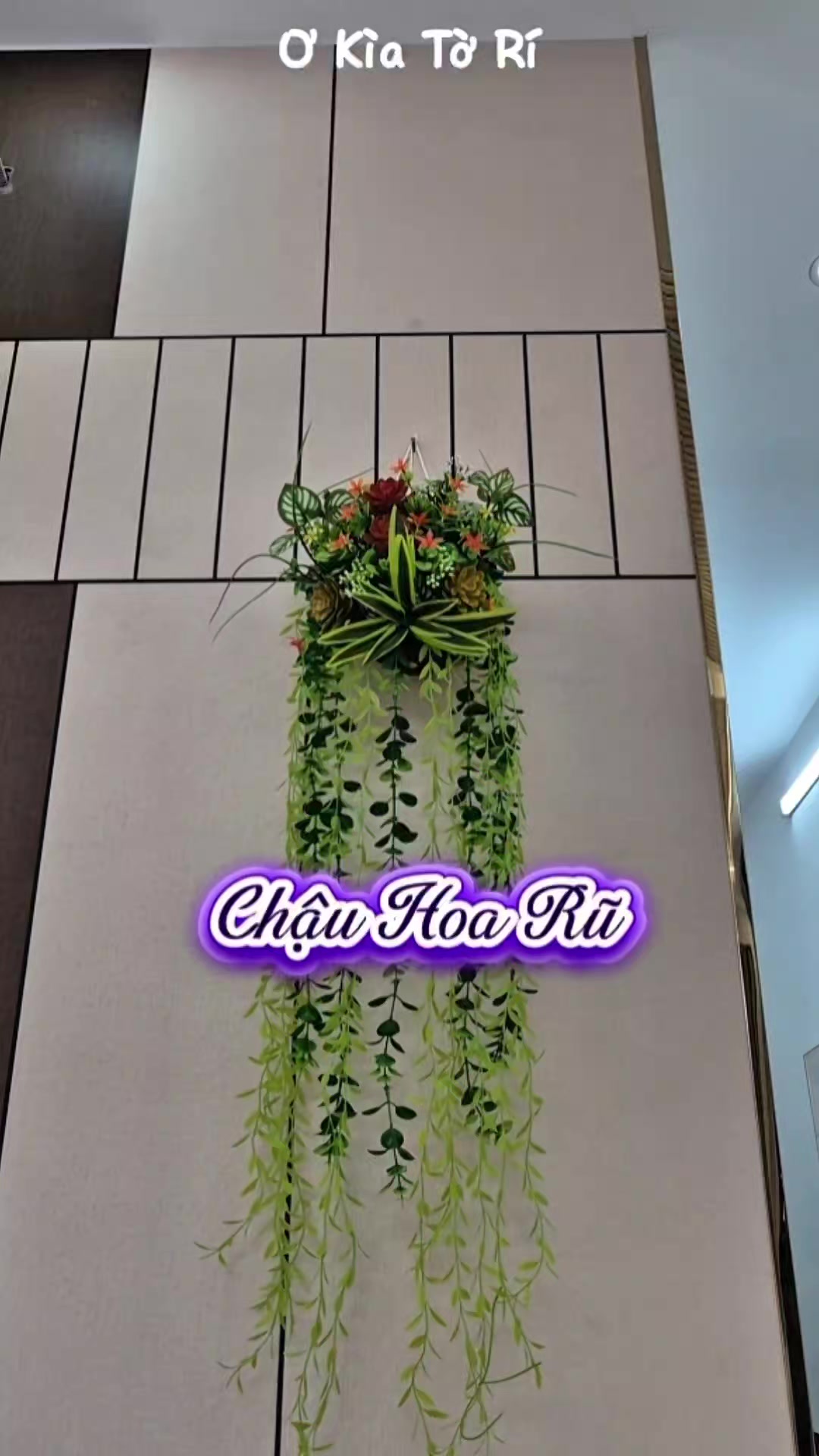 @Ơ Kìa Tờ Rí