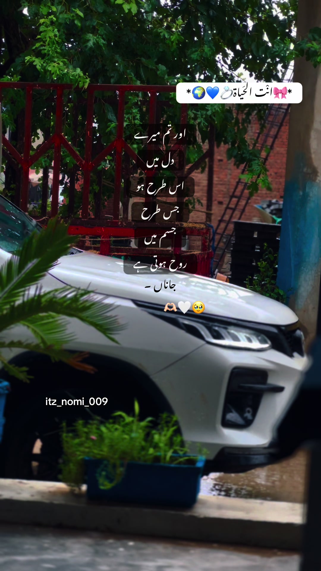 @N ? m i 🤍