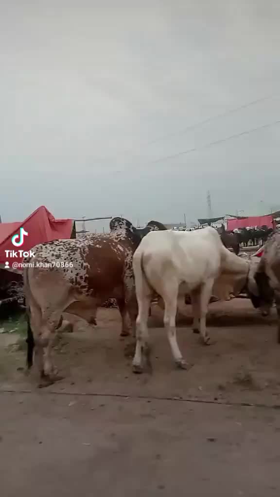 @R❣️N