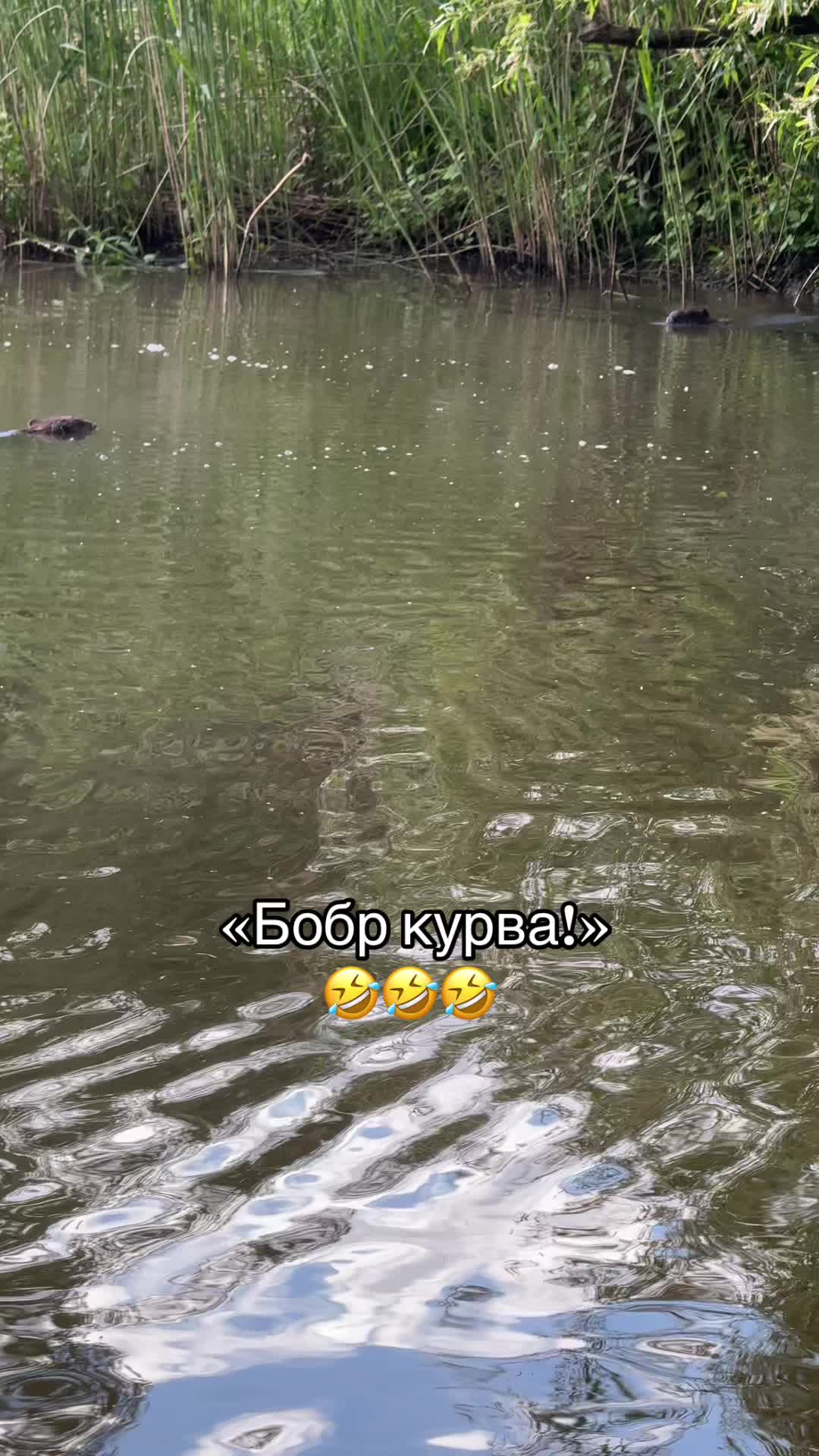 @ЯЕвгениЯ