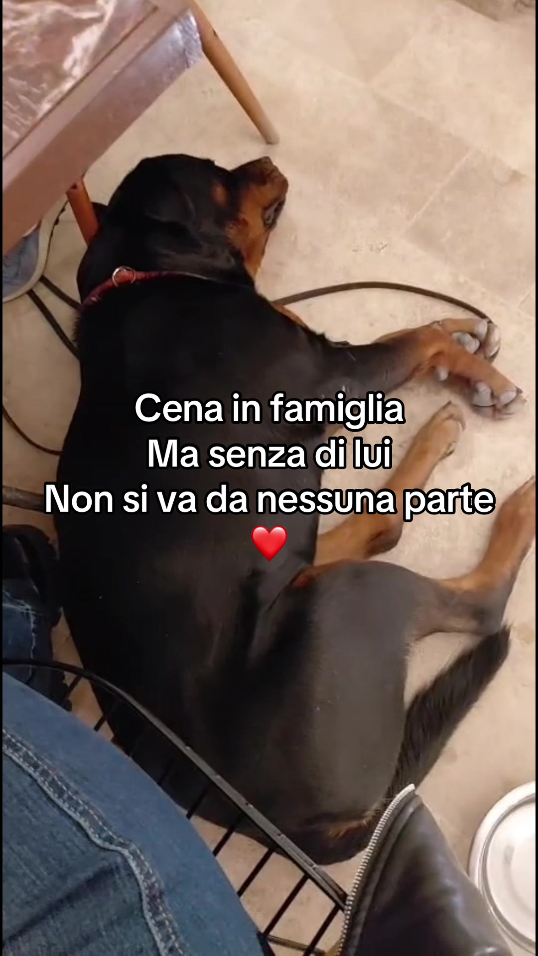 @Le avventure di Thor 🌪️ w ❤️