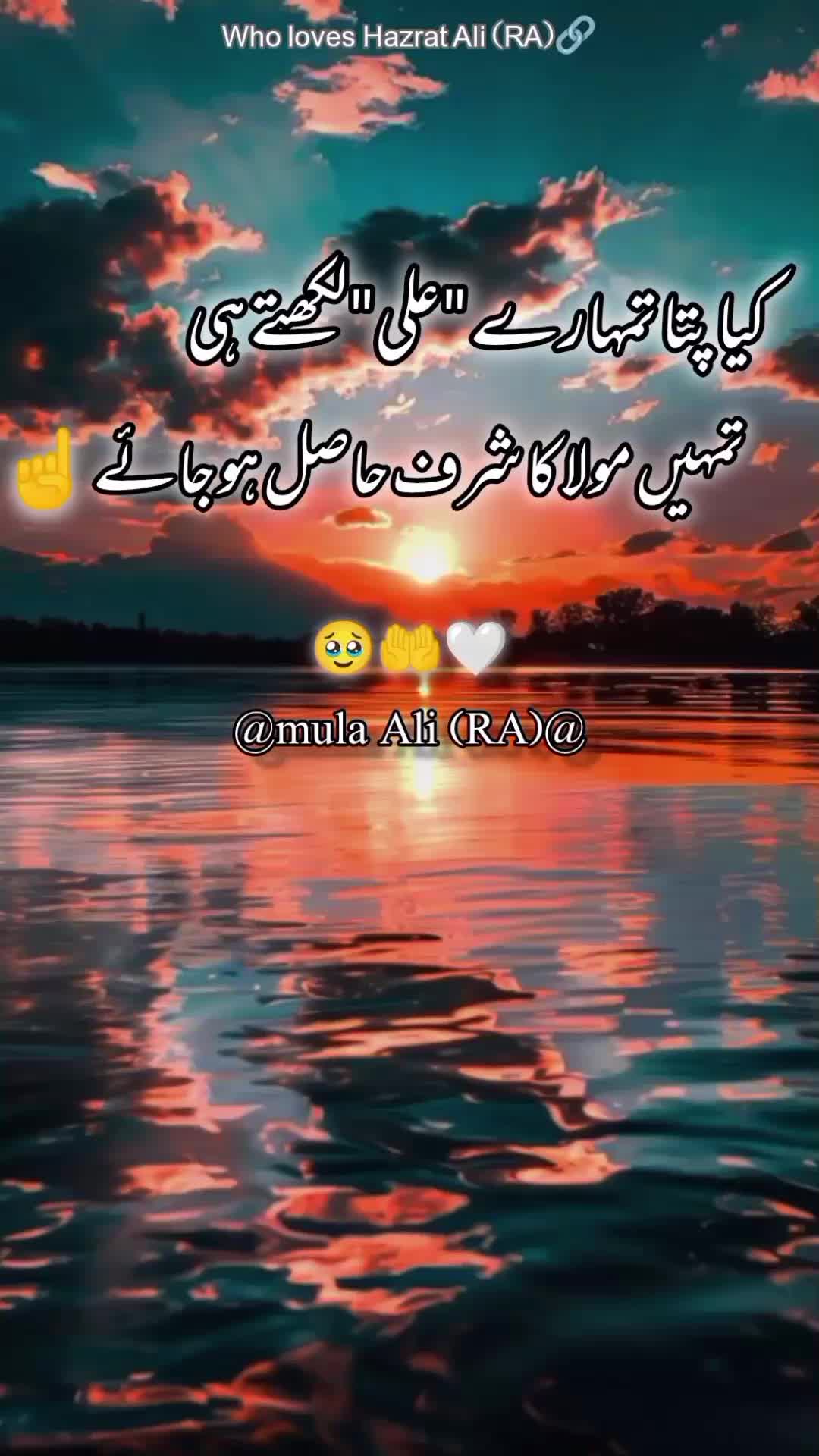 @Islamic State
