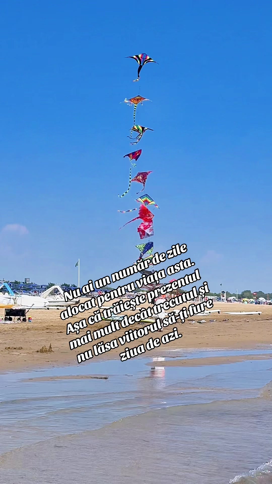 @Bianca🩷🦀🌜🩷