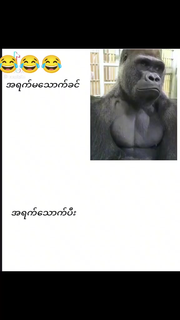 @dvdhysj