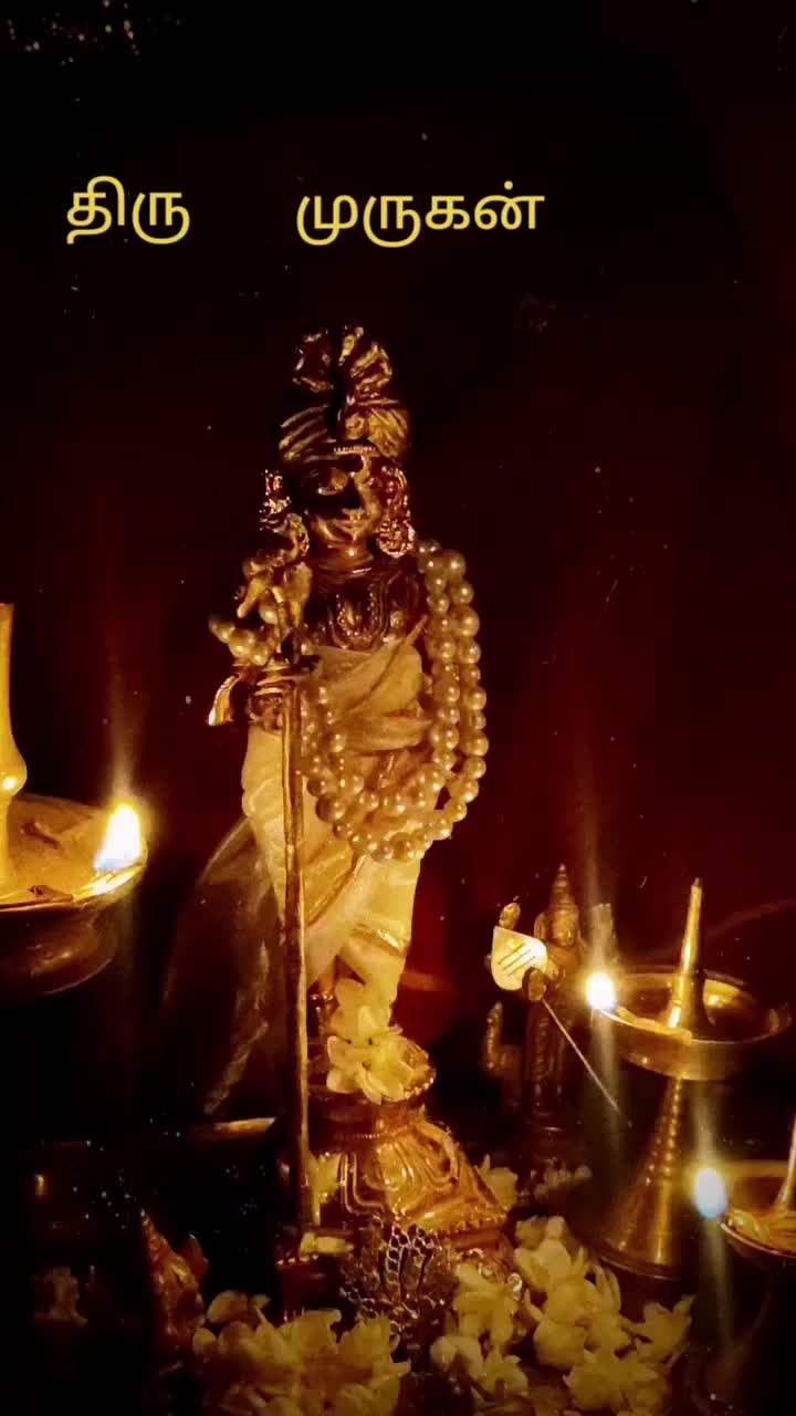 @T R N     TN. 50 Thillai