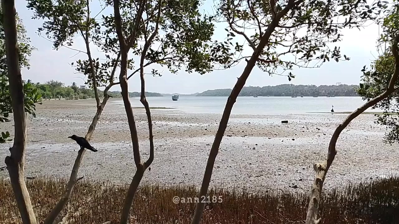 @ann2185 🪼🤍