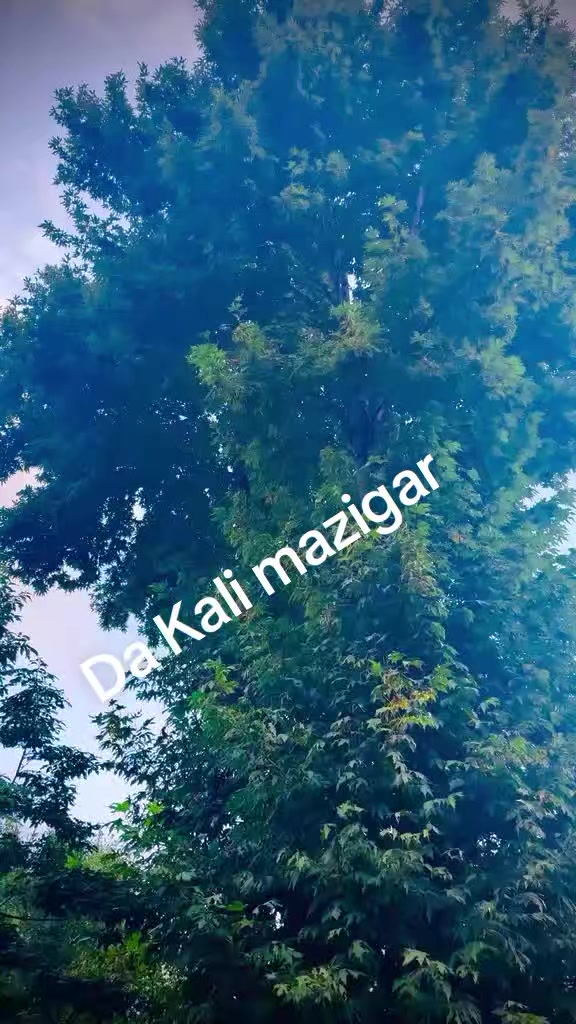 @Shahid karim205