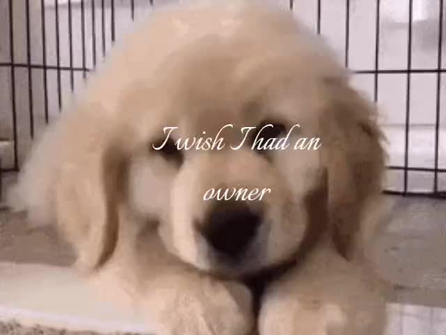 @ֶָ֢⊹𐙚