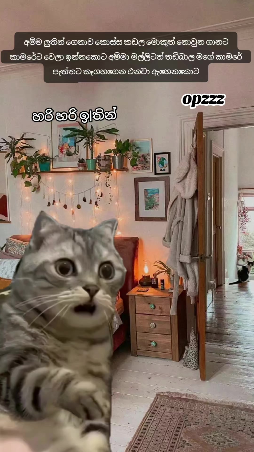 @𝑂𝑝𝑧𝑧𝑧