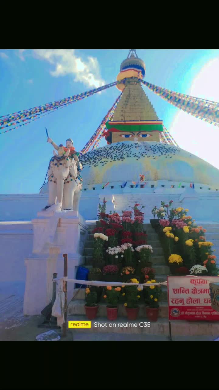 @Maya lama
