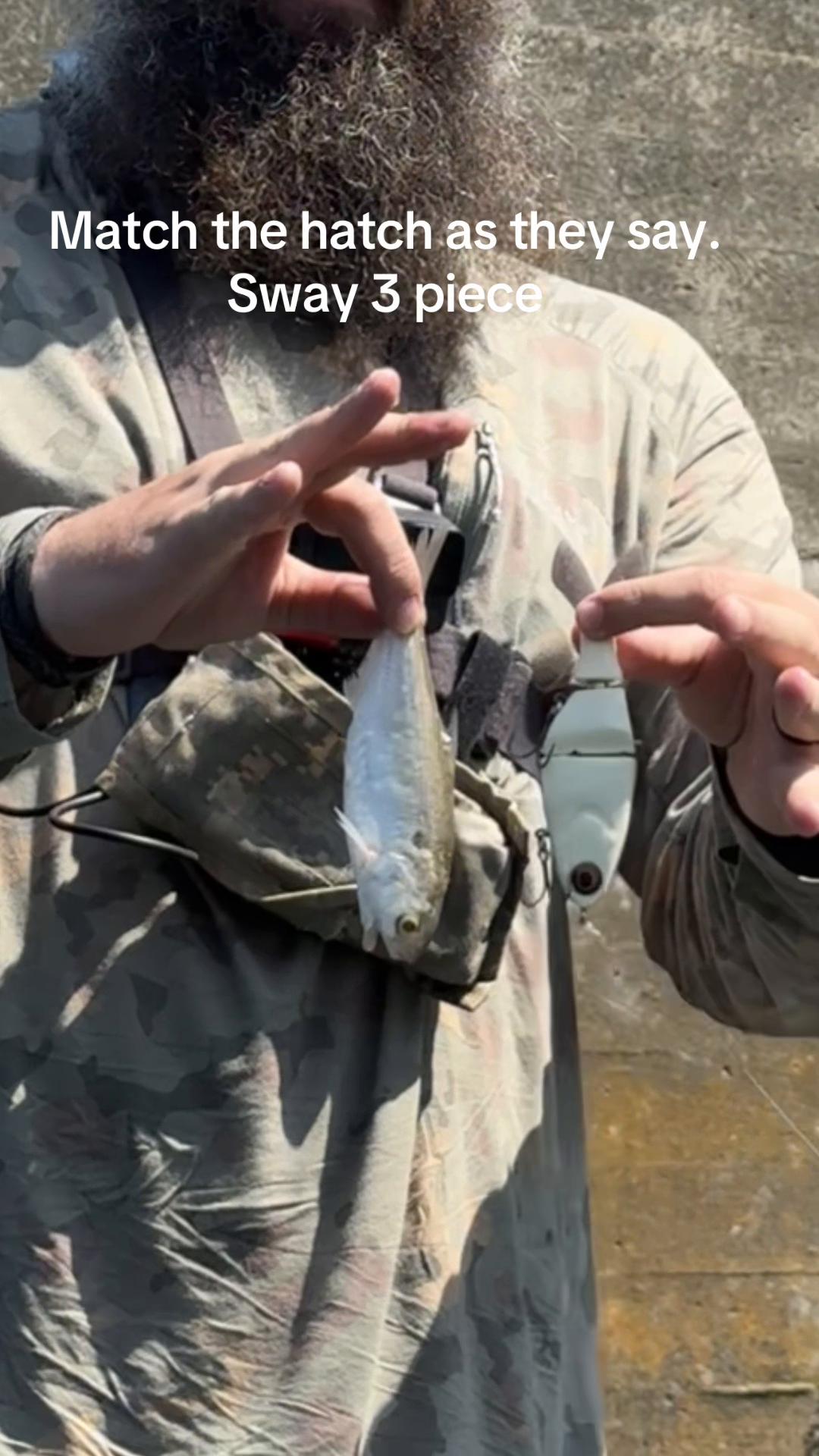 @River Born Baits
