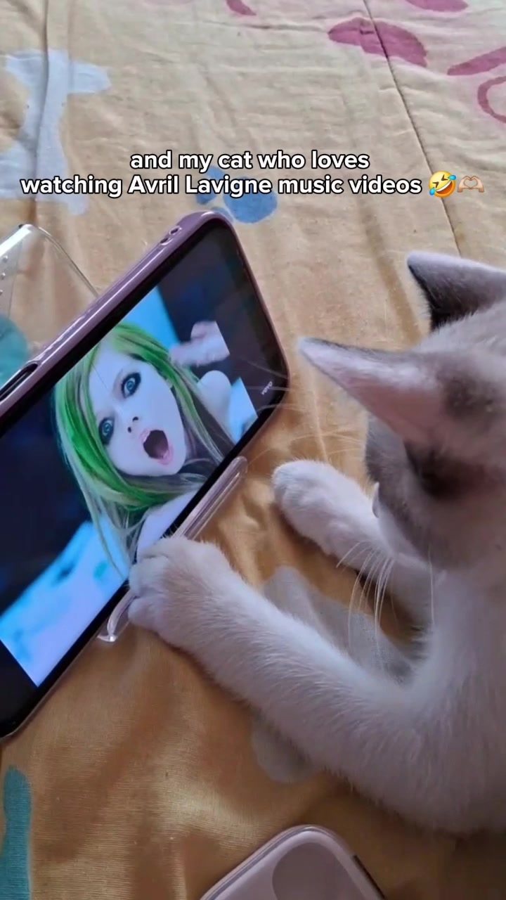 @avrilsnostalgia