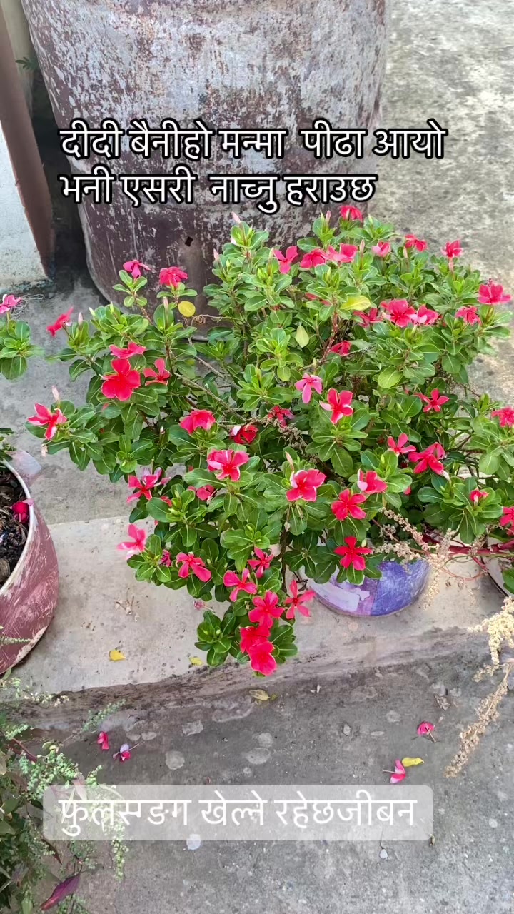 @yamunadevi banjade