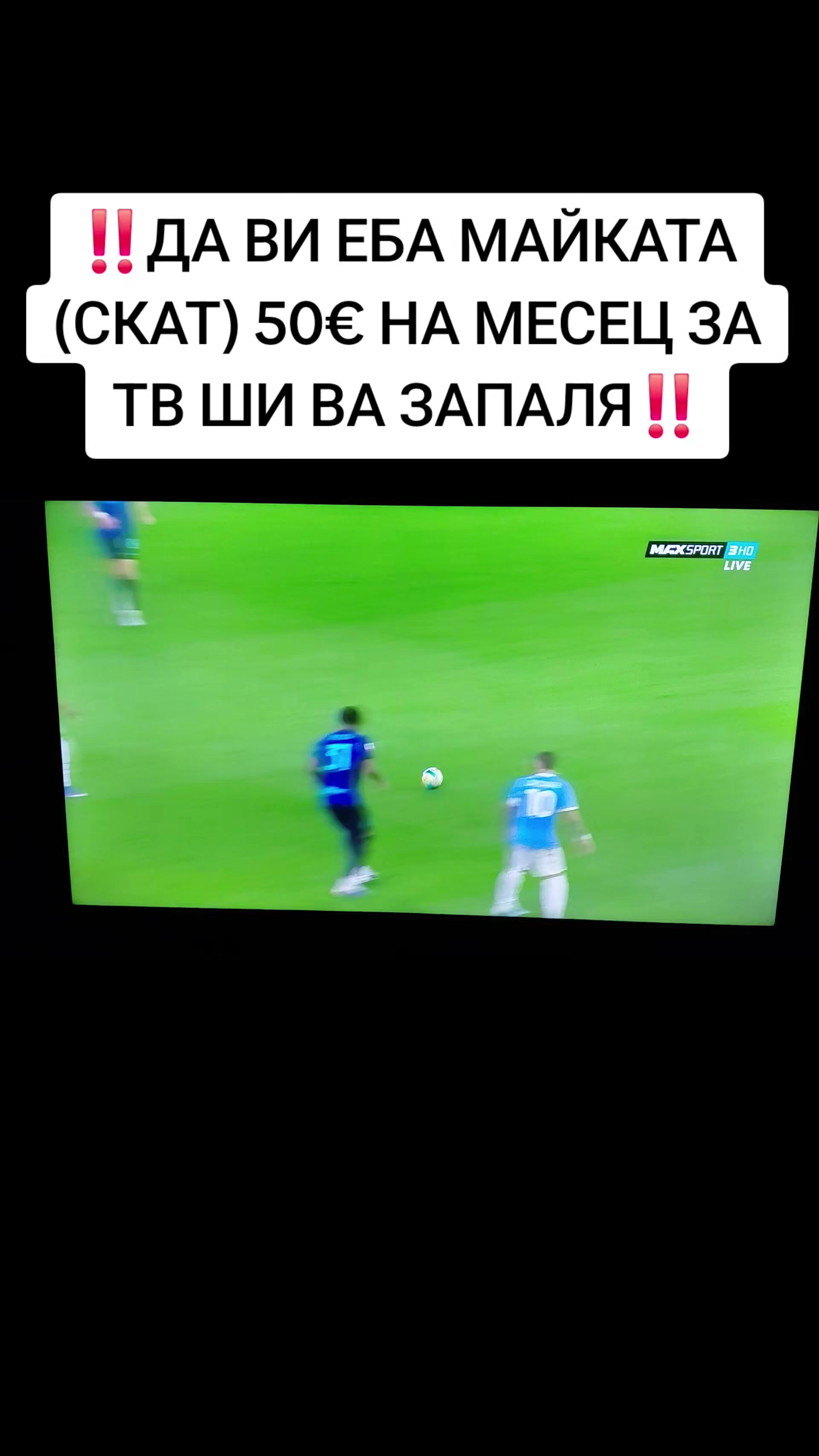 @Steikatas1