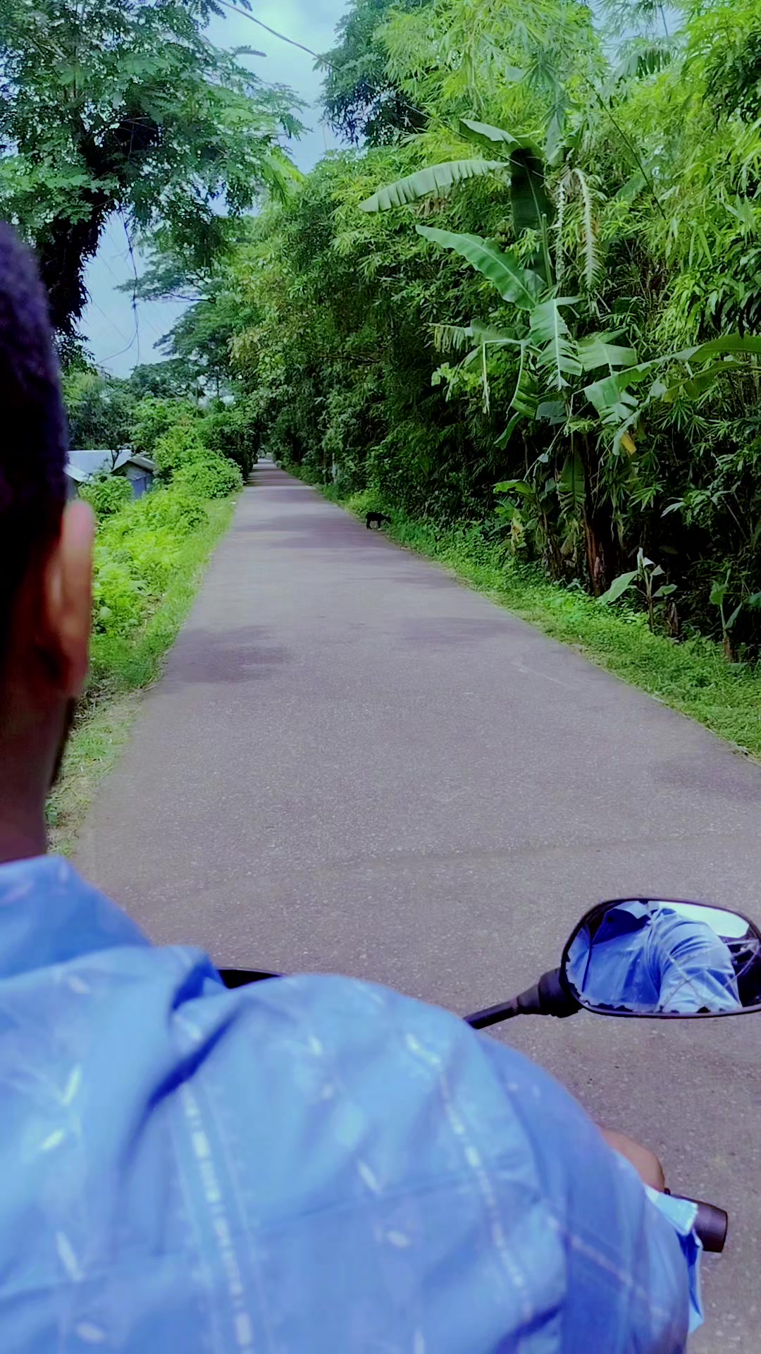 @MD Aminul Hoque