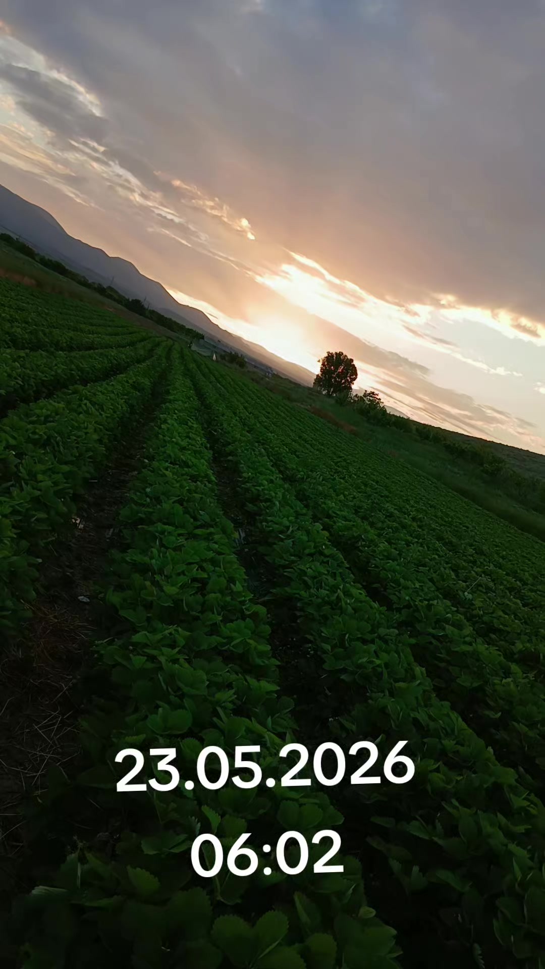 @Մ~~~~♧🤎