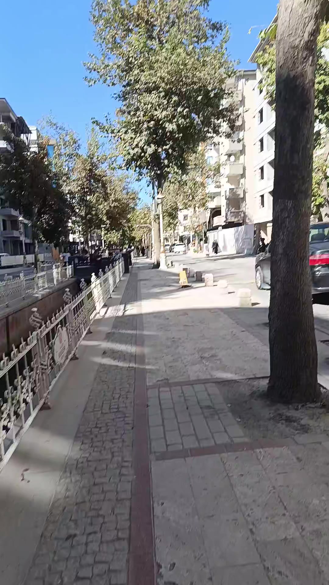 @kelebeğin R&uuml;yası 44