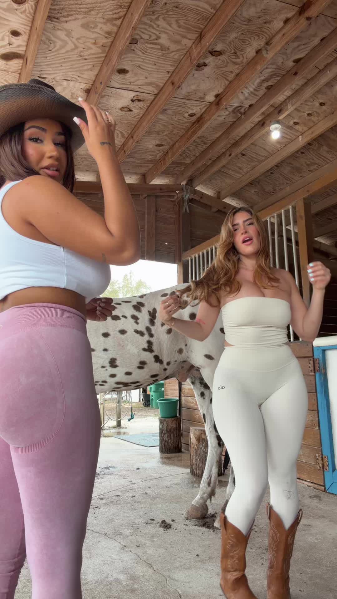 @jessy