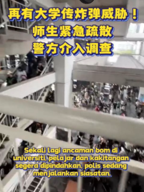 @中国报