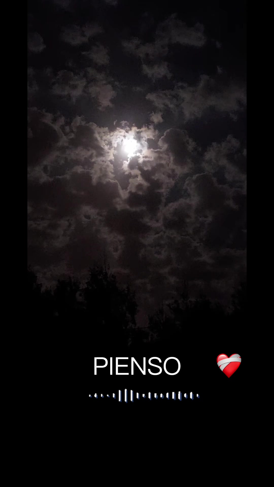 @🎼Chiqui🎼