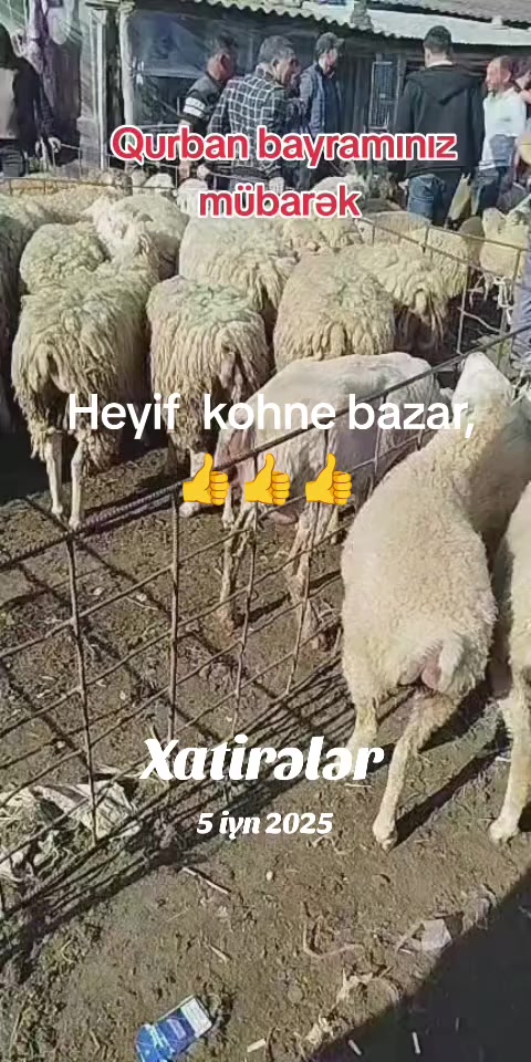 @kend_həyati_041