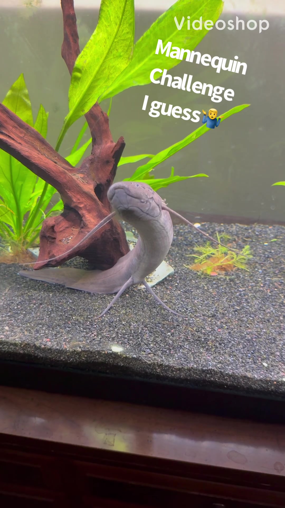 @fishdaddy2002