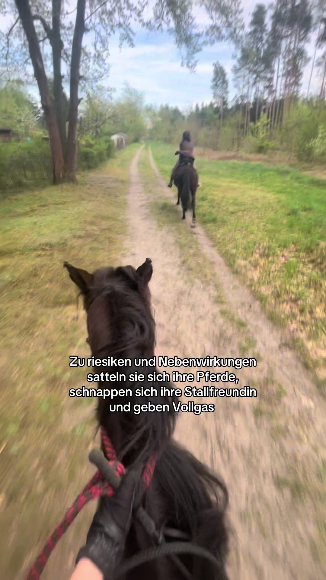 @lieblingstraber