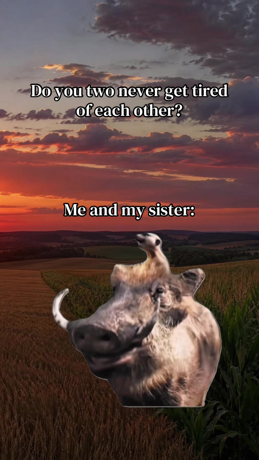 @️