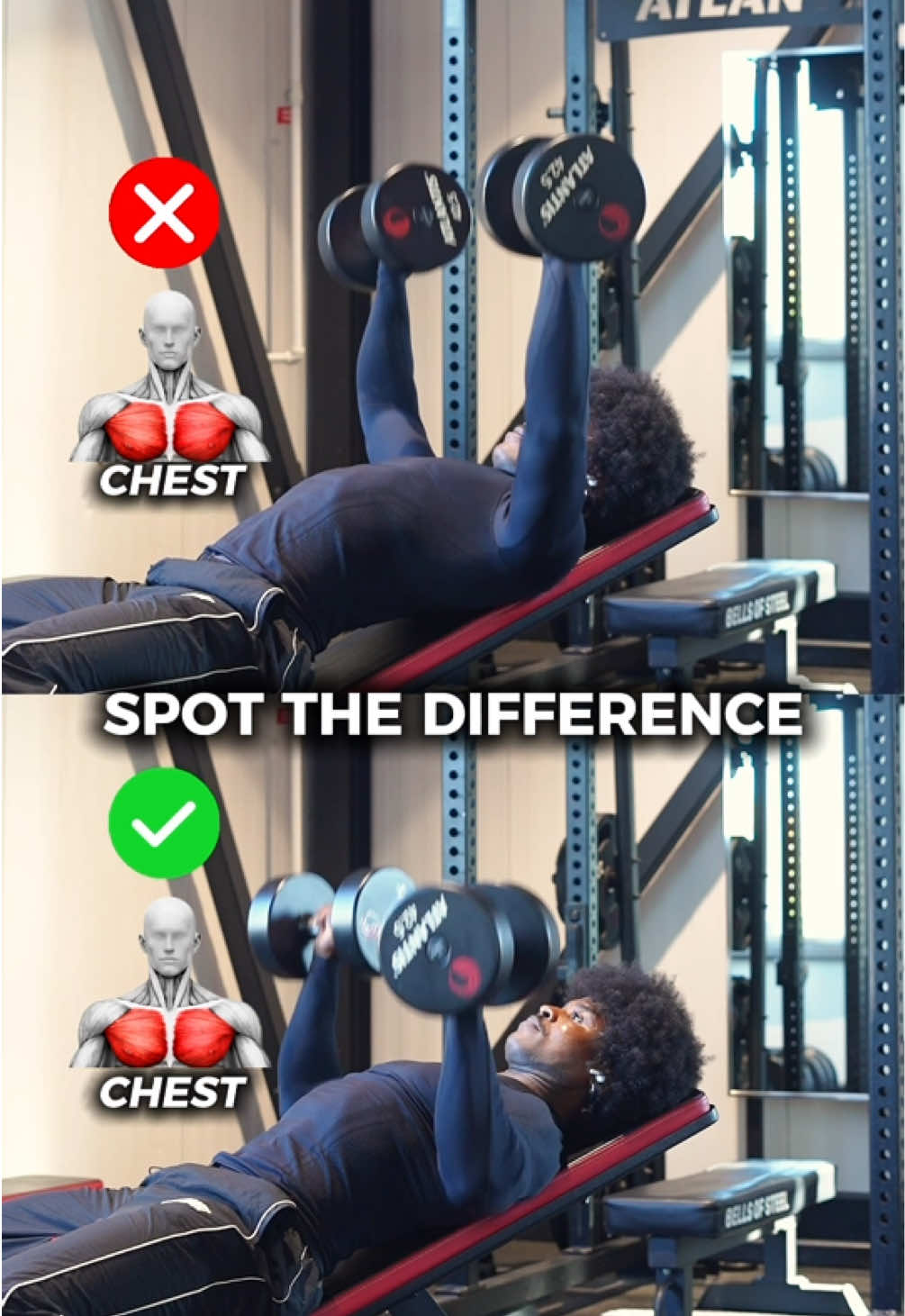 @Gymbro001 | Fix Your Workouts