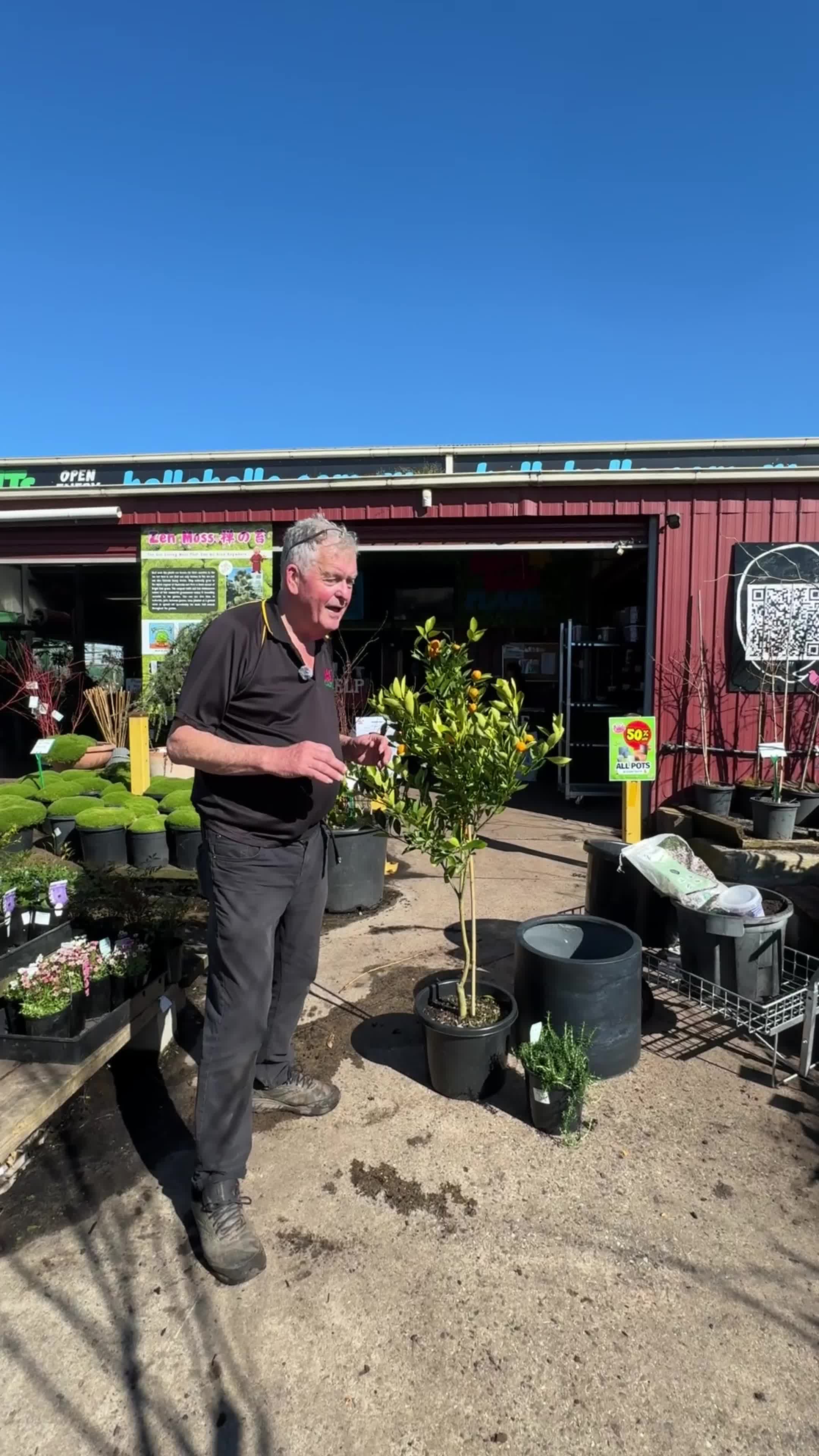 @Hello Hello Plants Nursery