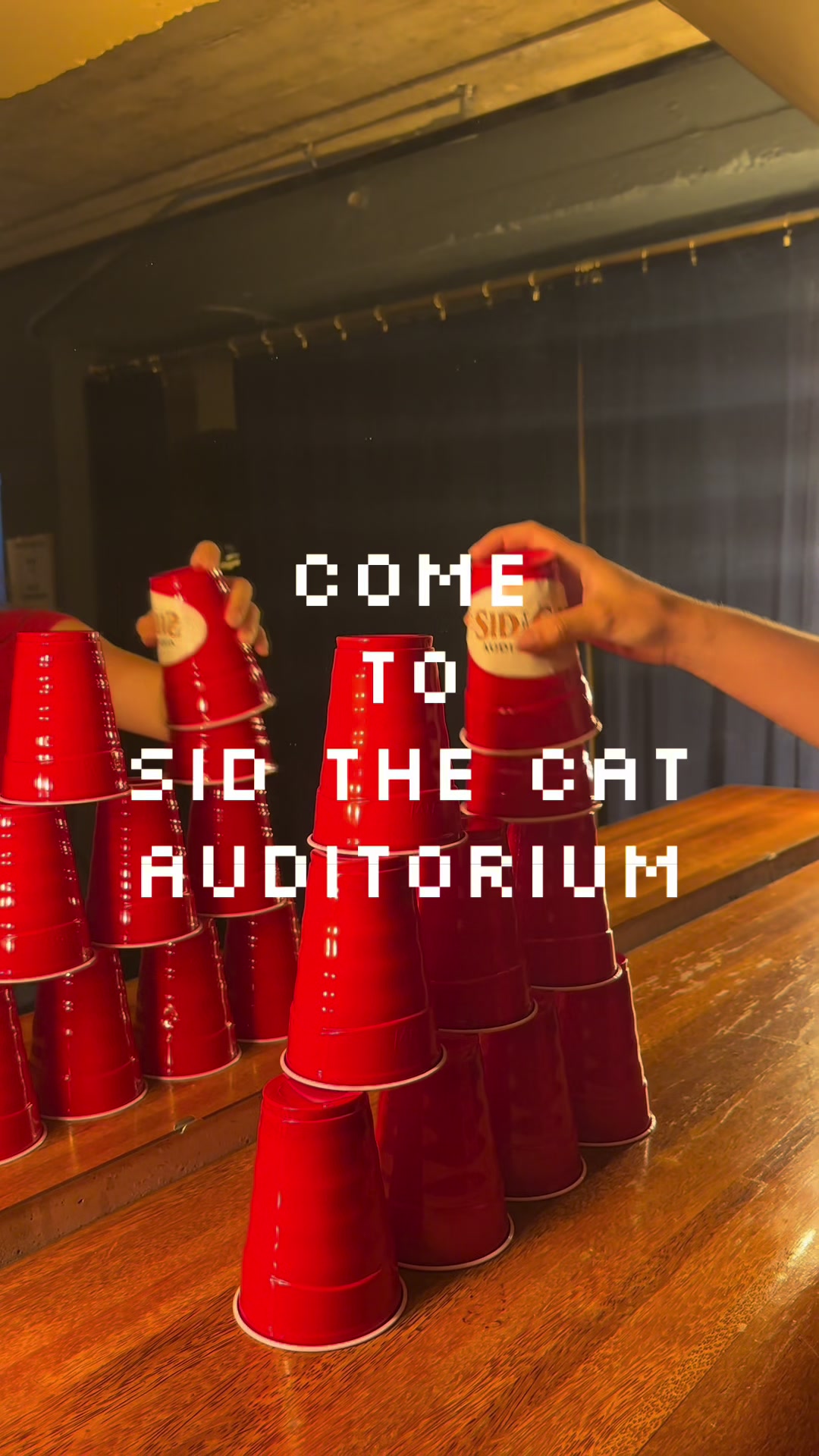 @˗ˏˋ Sid The Cat ˊˎ˗
