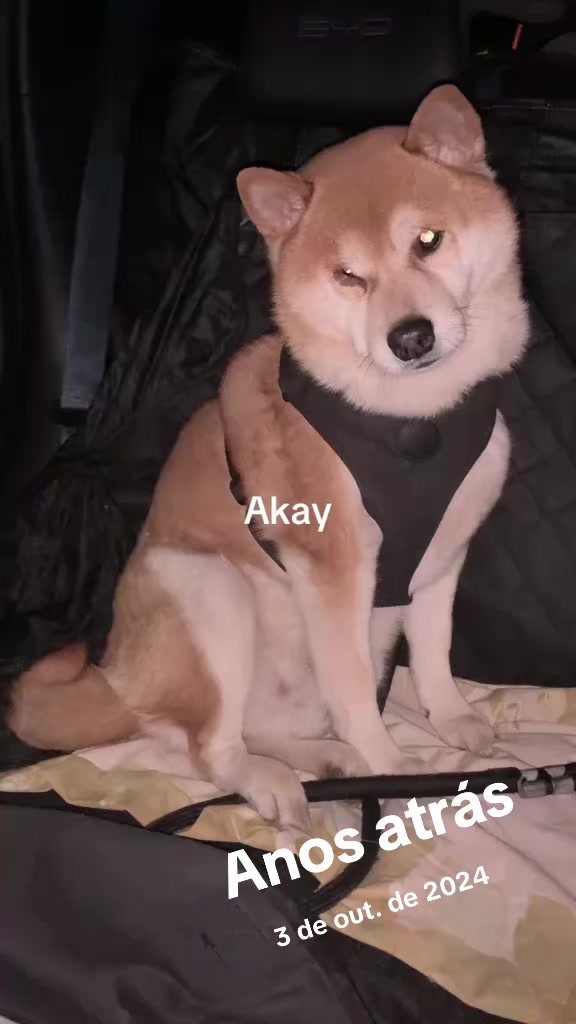 @Dj Nip