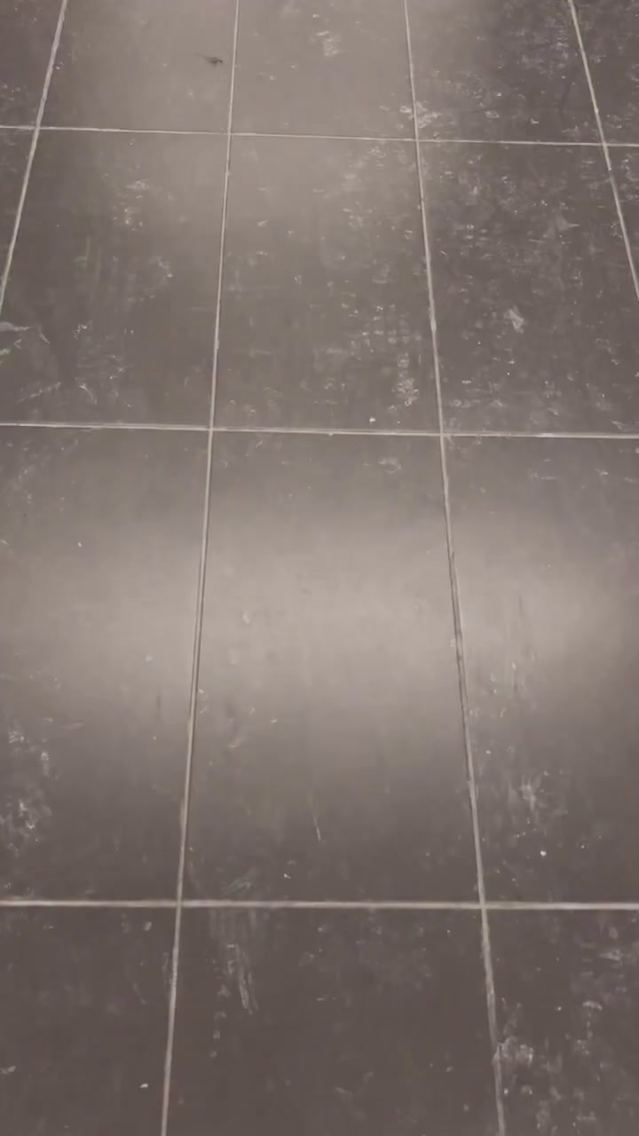 @uw.dhamaka